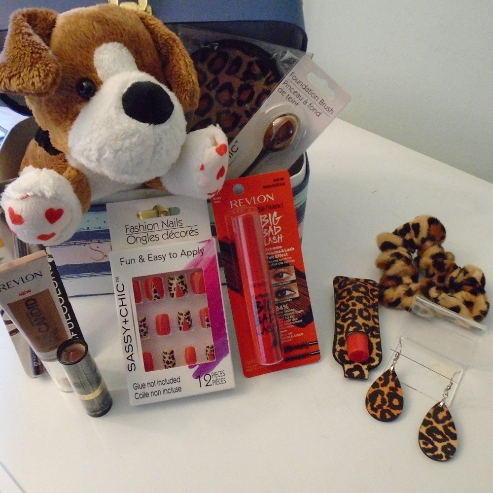 13 piece makeup Bundle (NTW)